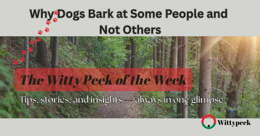 Why Dogs Bark at Some People and Not Others