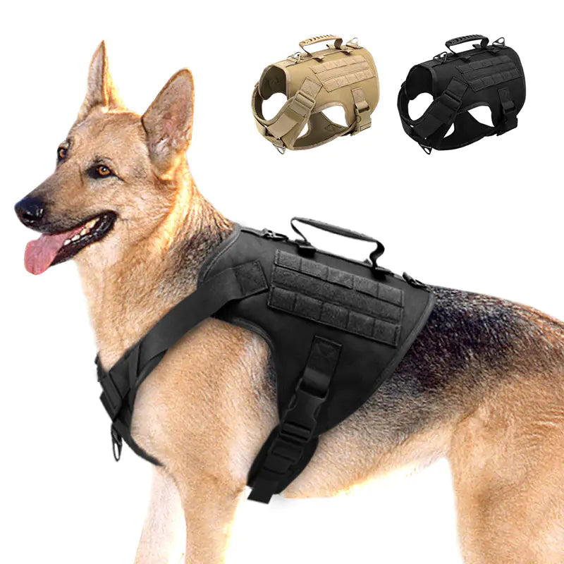 Chest Harness Vest for Dogs - Durable & Comfortable Dog Collar for Hiking & Outdoor Adventures πποΈ