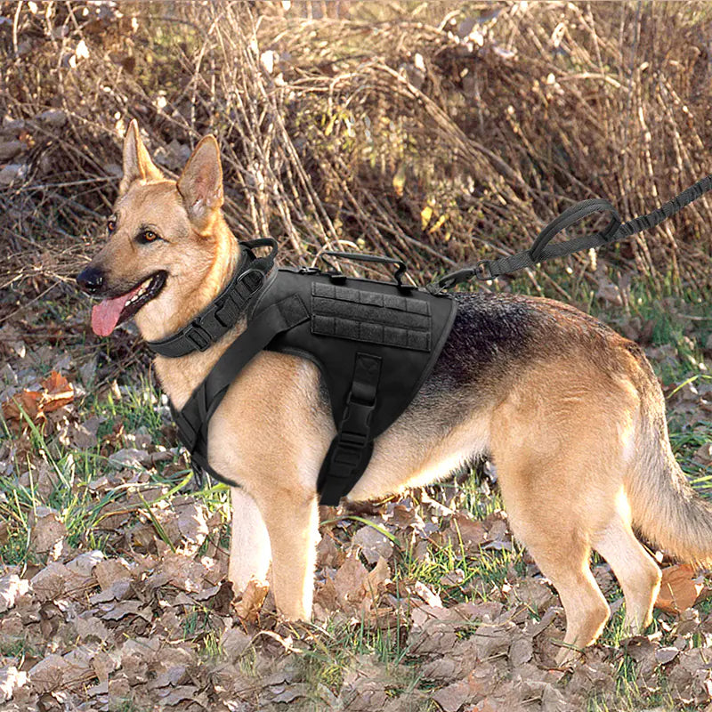 Chest Harness Vest for Dogs - Durable & Comfortable Dog Collar for Hiking & Outdoor Adventures πποΈ